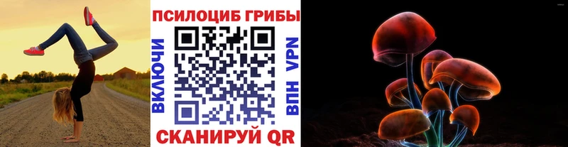 KRAKEN ссылка  Учалы  Псилоцибиновые грибы GOLDEN TEACHER  хочу  
