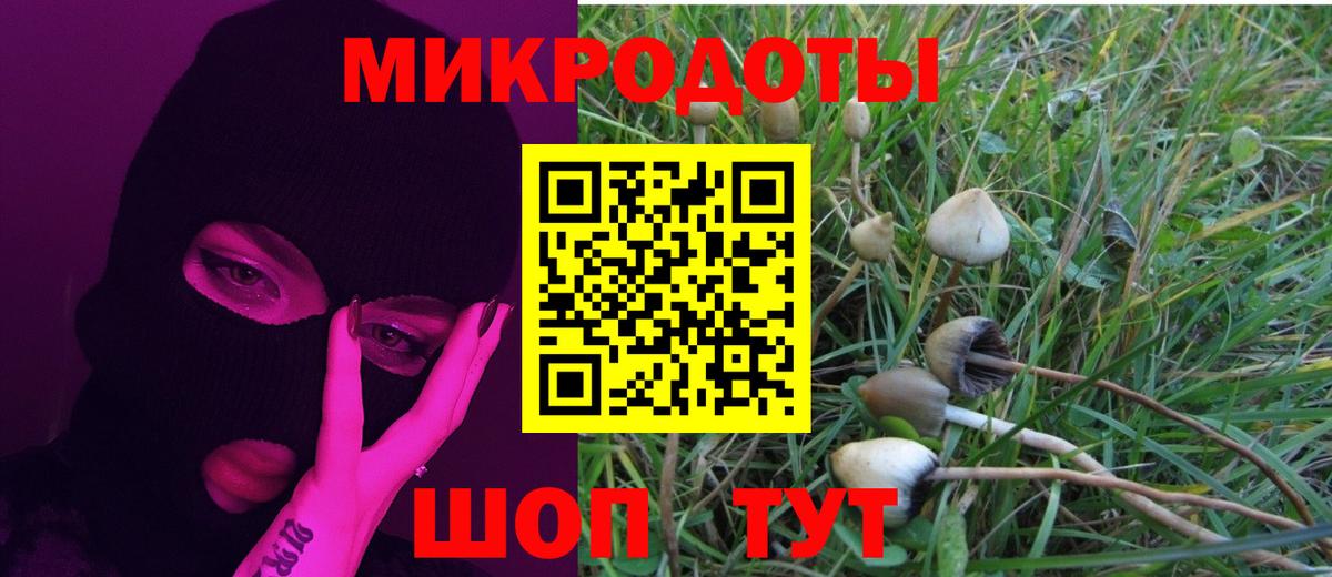Галлюциногенные грибы Psilocybe Учалы