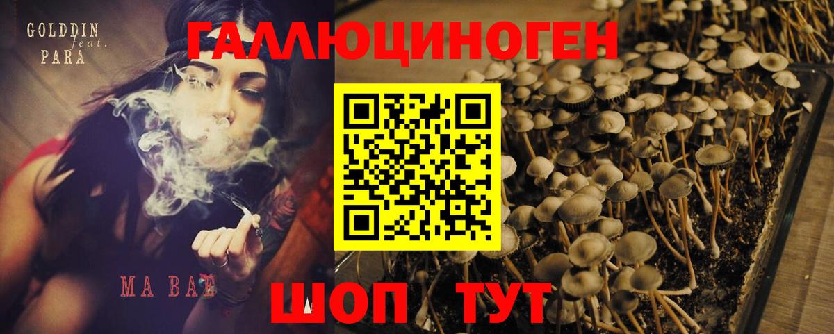 Псилоцибиновые грибы Psilocybine cubensis Учалы